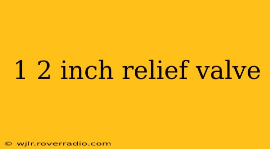 1 2 inch relief valve