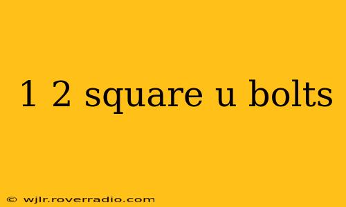 1 2 square u bolts