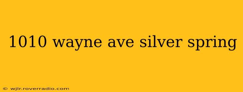 1010 wayne ave silver spring