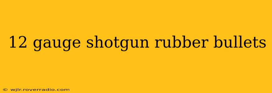 12 gauge shotgun rubber bullets