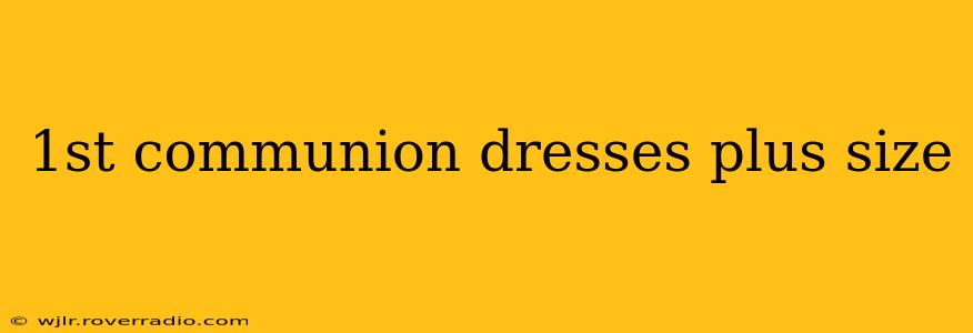 1st communion dresses plus size