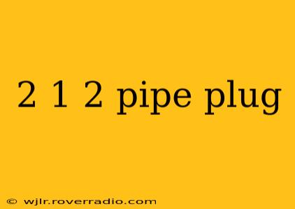 2 1 2 pipe plug