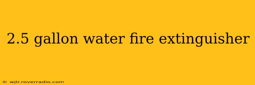 2.5 gallon water fire extinguisher