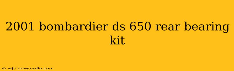 2001 bombardier ds 650 rear bearing kit