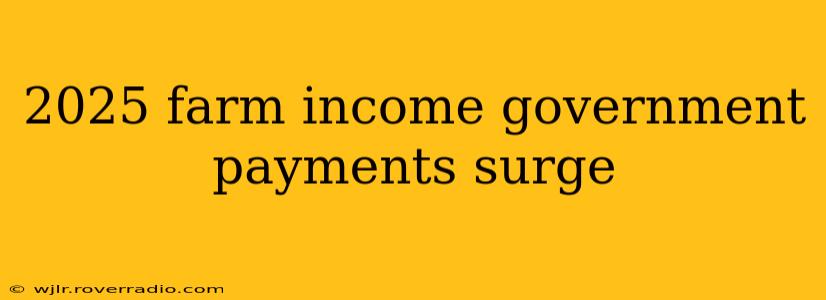 2025 farm income government payments surge