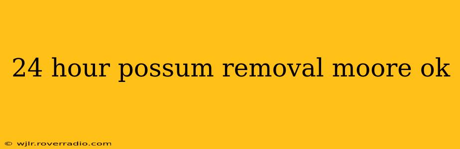 24 hour possum removal moore ok