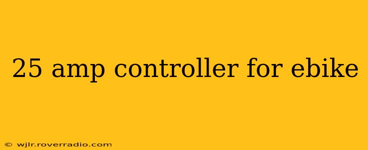25 amp controller for ebike