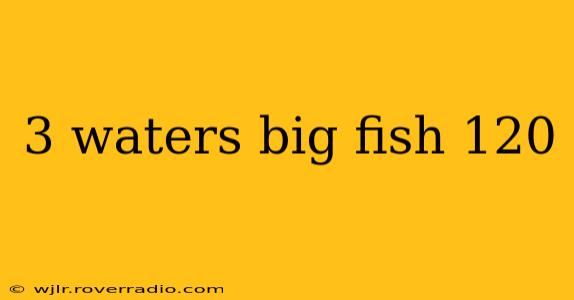 3 waters big fish 120