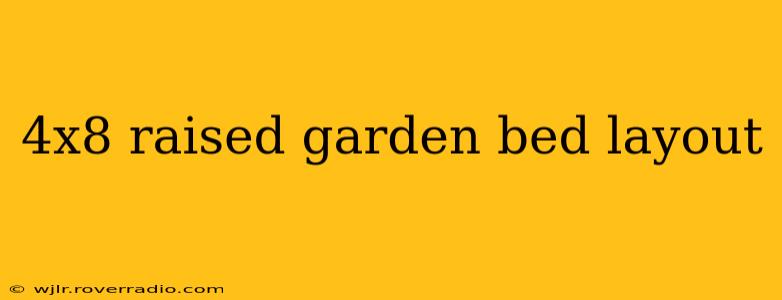 4x8 raised garden bed layout