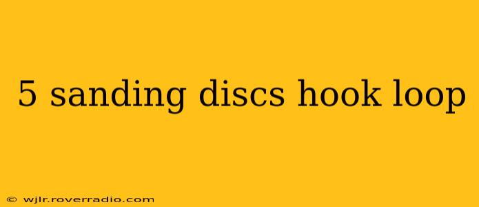 5 sanding discs hook loop