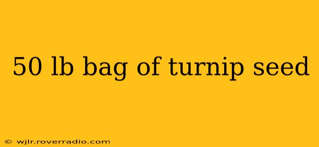 50 lb bag of turnip seed