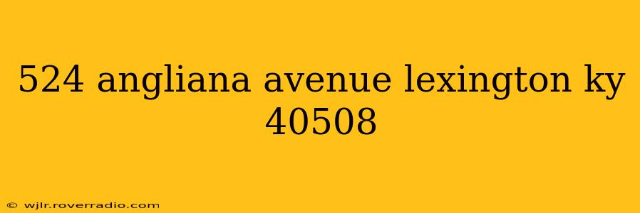 524 angliana avenue lexington ky 40508