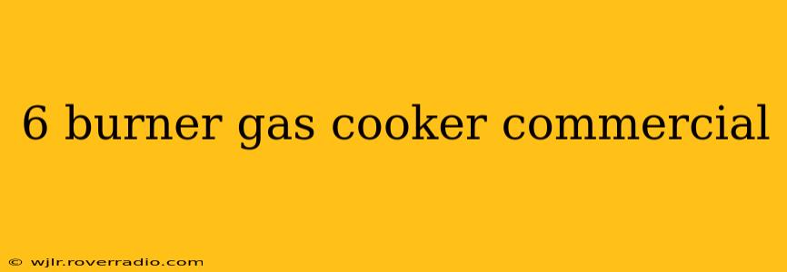 6 burner gas cooker commercial