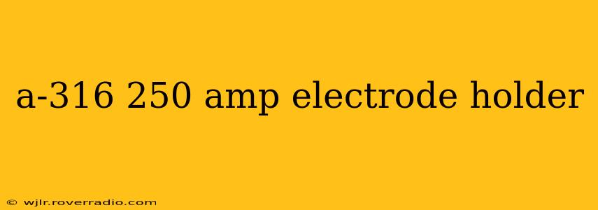 a-316 250 amp electrode holder
