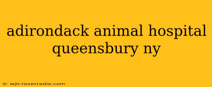 adirondack animal hospital queensbury ny