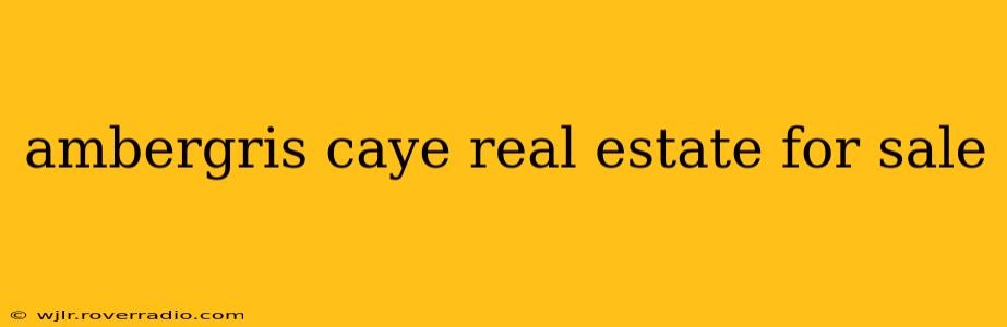 ambergris caye real estate for sale