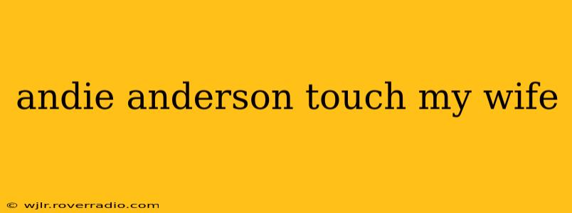 andie anderson touch my wife