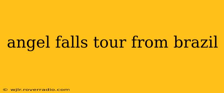 angel falls tour from brazil