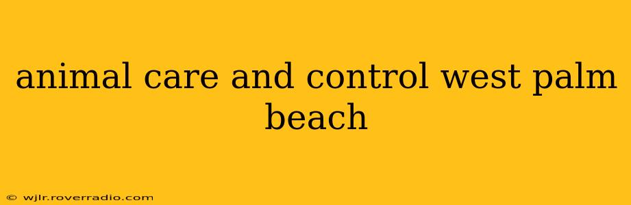 animal care and control west palm beach