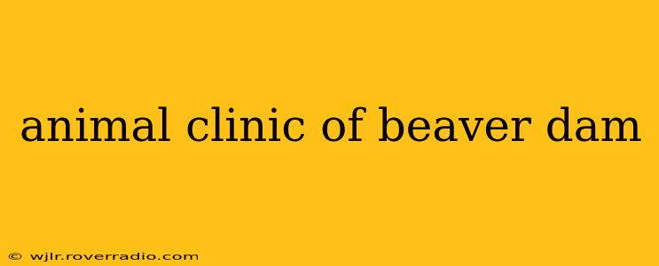 animal clinic of beaver dam