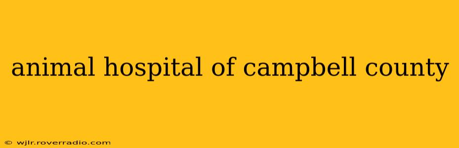 animal hospital of campbell county