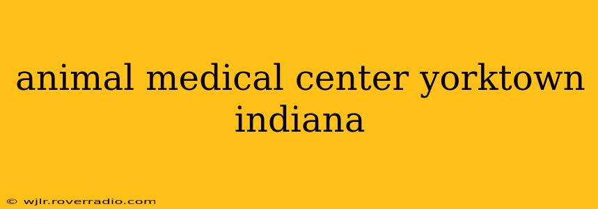 animal medical center yorktown indiana