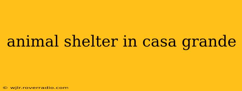 animal shelter in casa grande