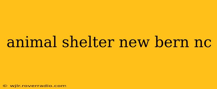 animal shelter new bern nc