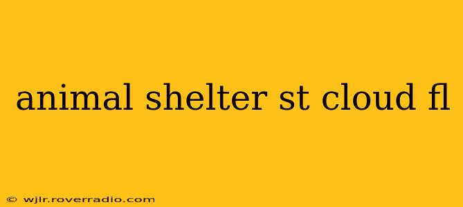 animal shelter st cloud fl