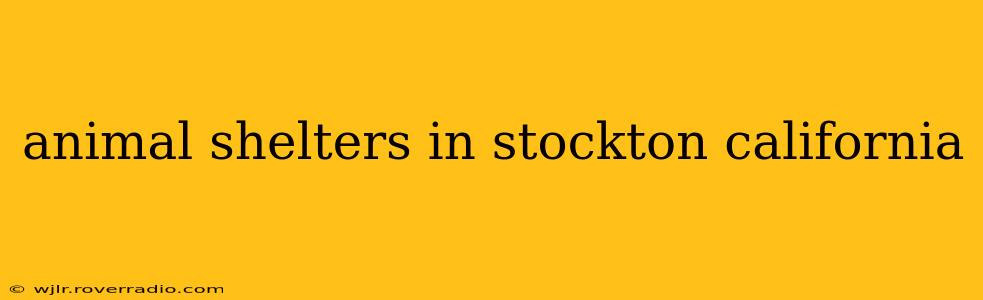 animal shelters in stockton california