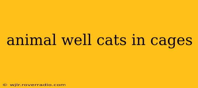 animal well cats in cages