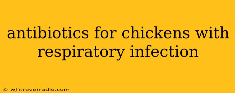 antibiotics for chickens with respiratory infection