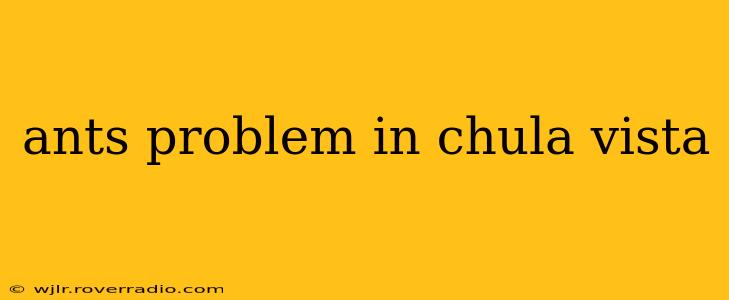 ants problem in chula vista