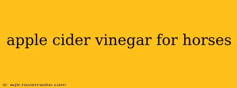 apple cider vinegar for horses