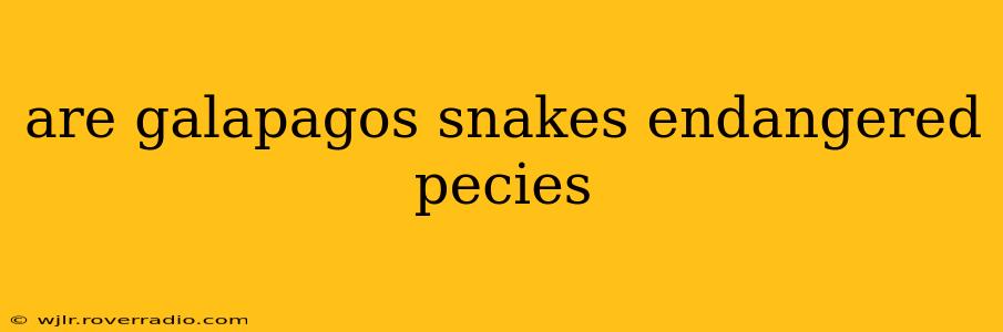 are galapagos snakes endangered pecies