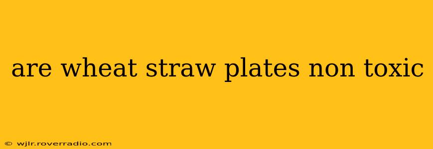 are wheat straw plates non toxic