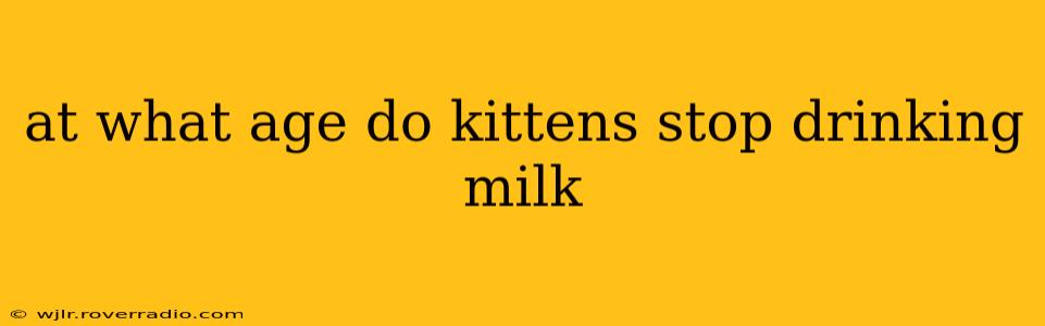 at what age do kittens stop drinking milk