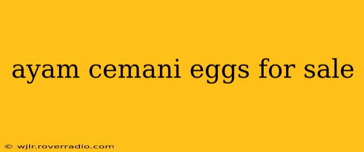 ayam cemani eggs for sale