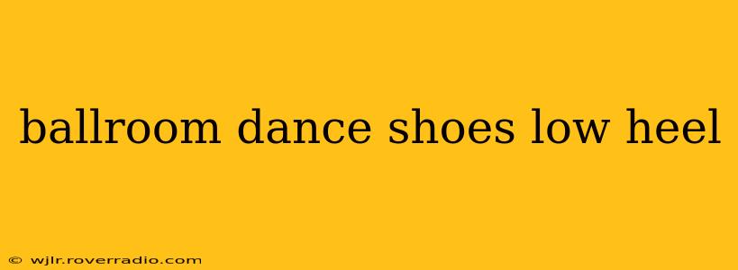 ballroom dance shoes low heel