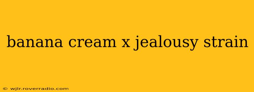 banana cream x jealousy strain