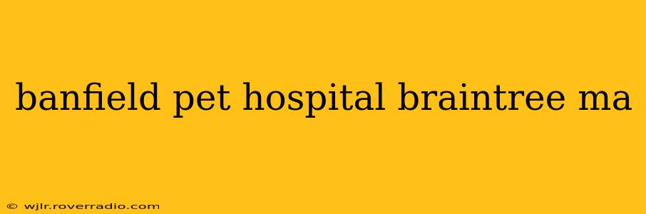 banfield pet hospital braintree ma
