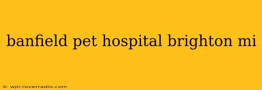 banfield pet hospital brighton mi