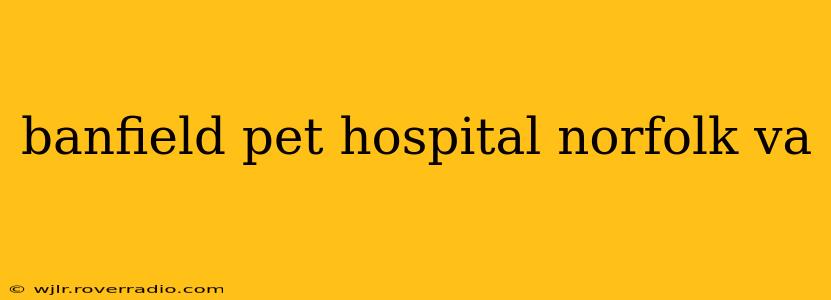 banfield pet hospital norfolk va
