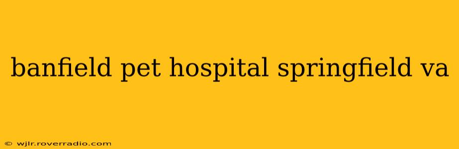 banfield pet hospital springfield va