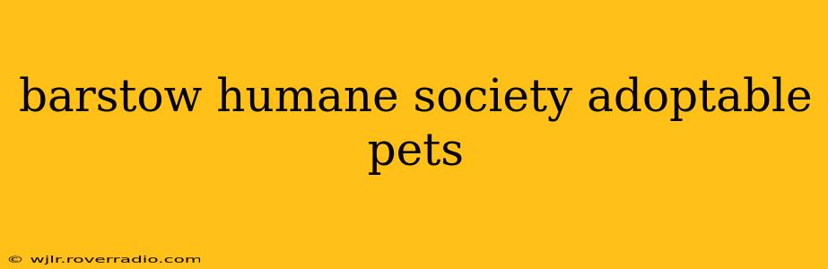 barstow humane society adoptable pets