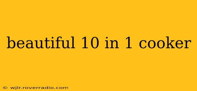 beautiful 10 in 1 cooker