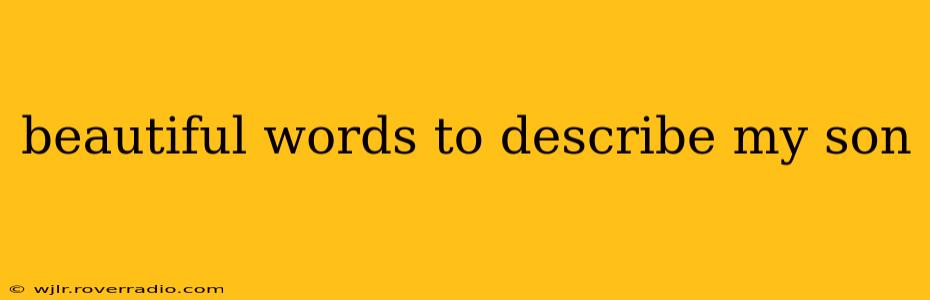 beautiful words to describe my son