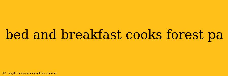 bed and breakfast cooks forest pa