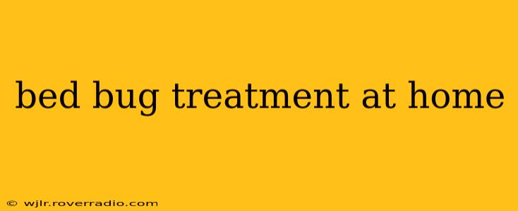 bed bug treatment at home