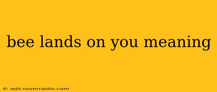 bee lands on you meaning